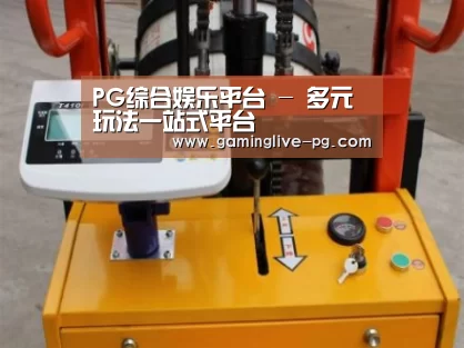 PG下载案例展示三