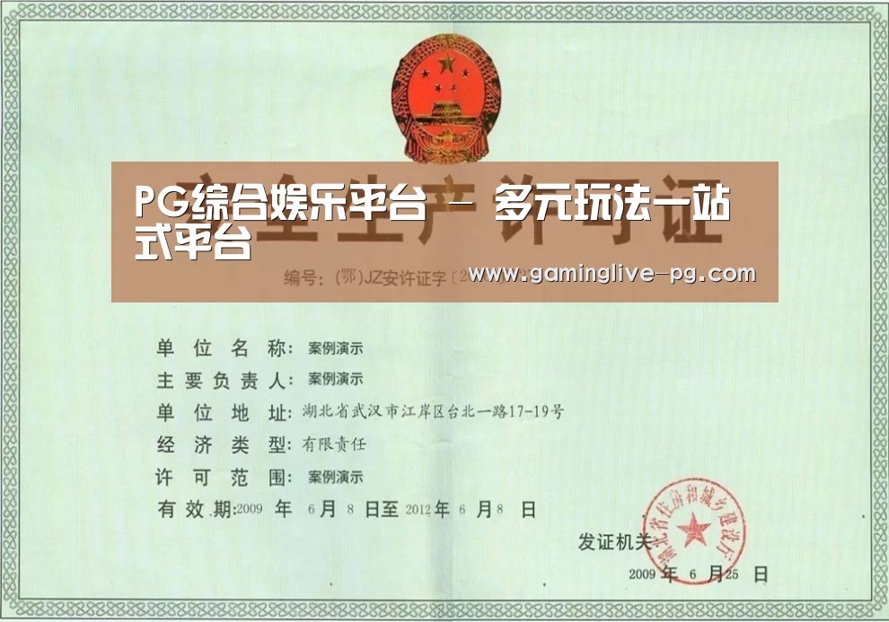 PG下载荣誉证书三