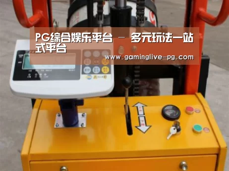 PG下载案例展示三(图1)