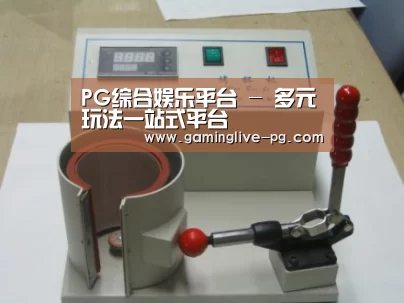 PG下载案例展示六