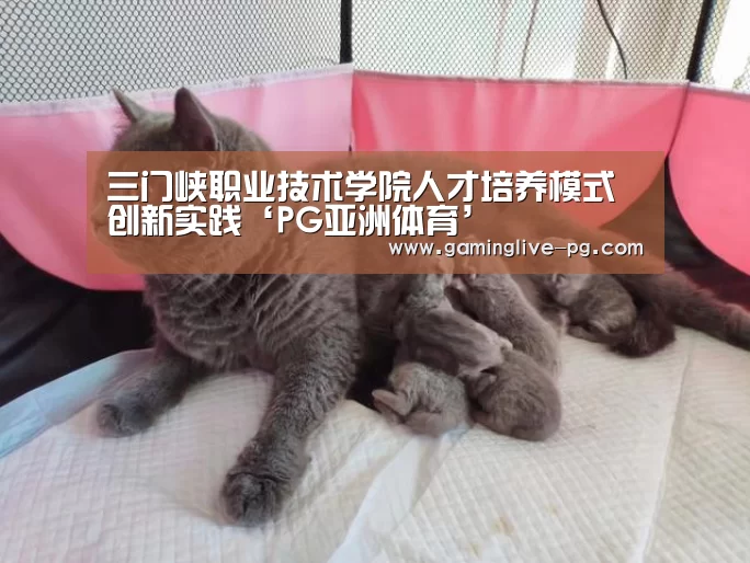 PG视讯