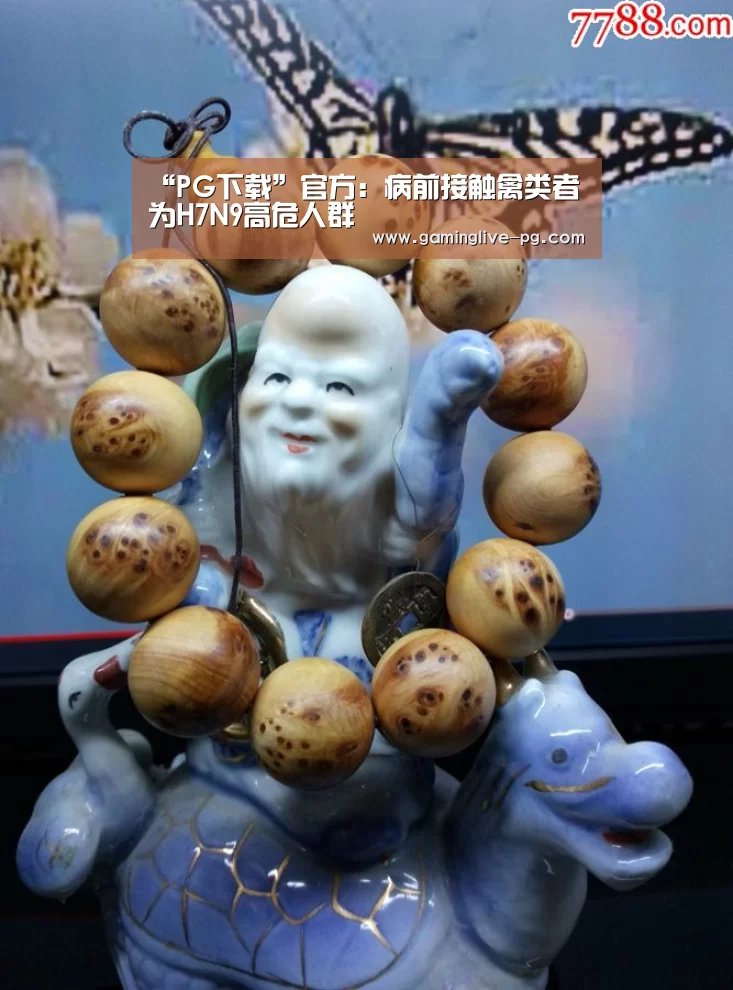 PG视讯