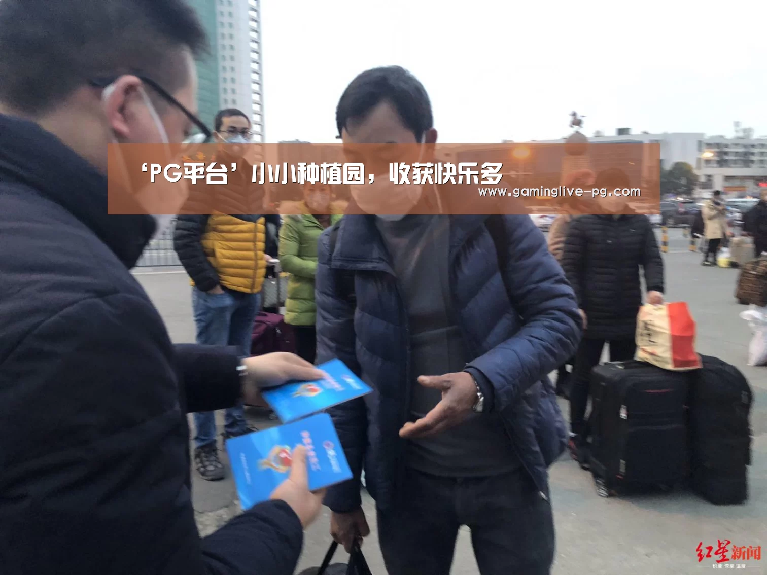 ‘PG平台’小小种植园,收获快乐多(图2) PG视讯