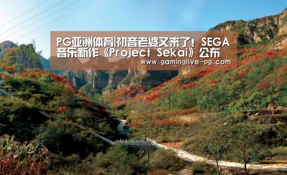 PG平台