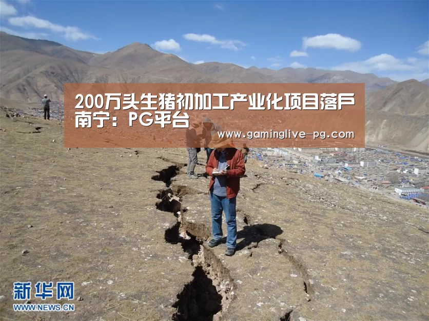 200万头生猪初加工产业化项目落户南宁:PG平台(图1) PG亚洲体育