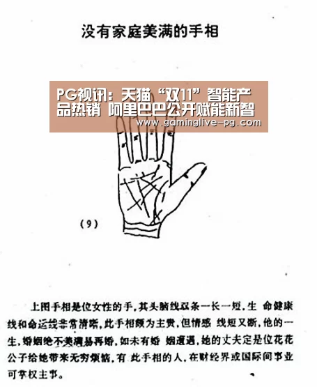 PG视讯