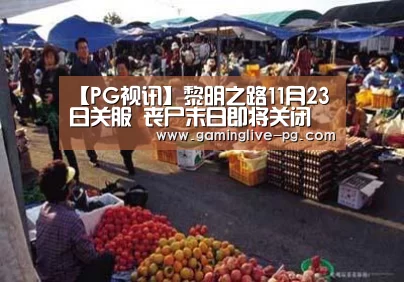 【PG视讯】黎明之路11月23日关服 丧尸末日即将关闭(图1) PG平台