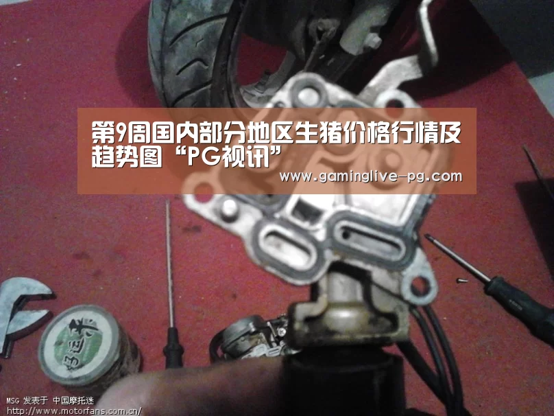 第9周国内部分地区生猪价格行情及趋势图“PG视讯”(图3) PG亚洲体育